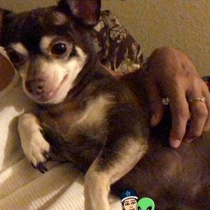 Meet your Posher, Tina